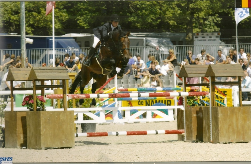 Eindklassement cyclus jonge paarden